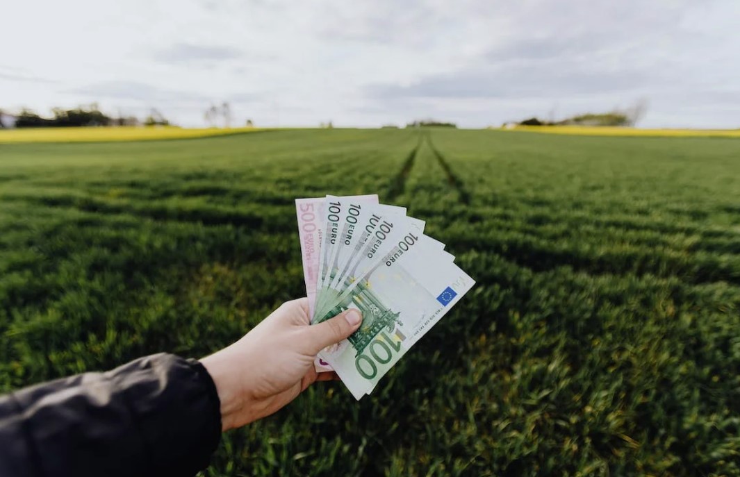 1500 Loans for Bad Credit: How to Get Approved